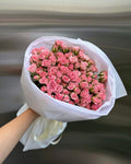 Amour Pink