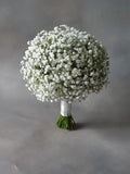 Baby's Breath