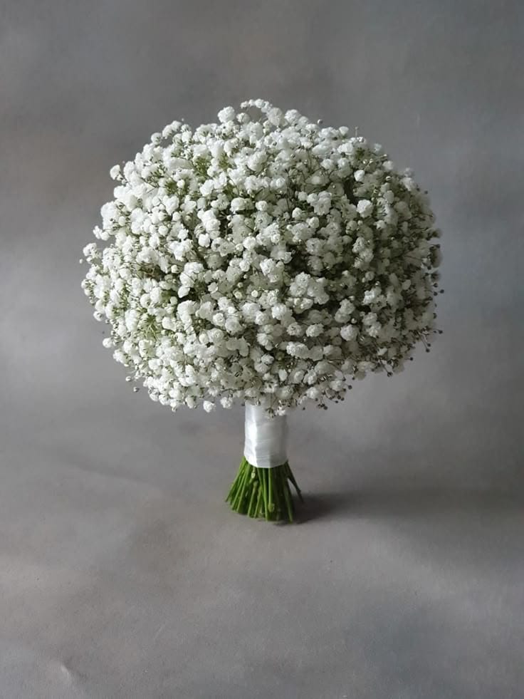 Baby's Breath