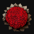 Crimson Elegance