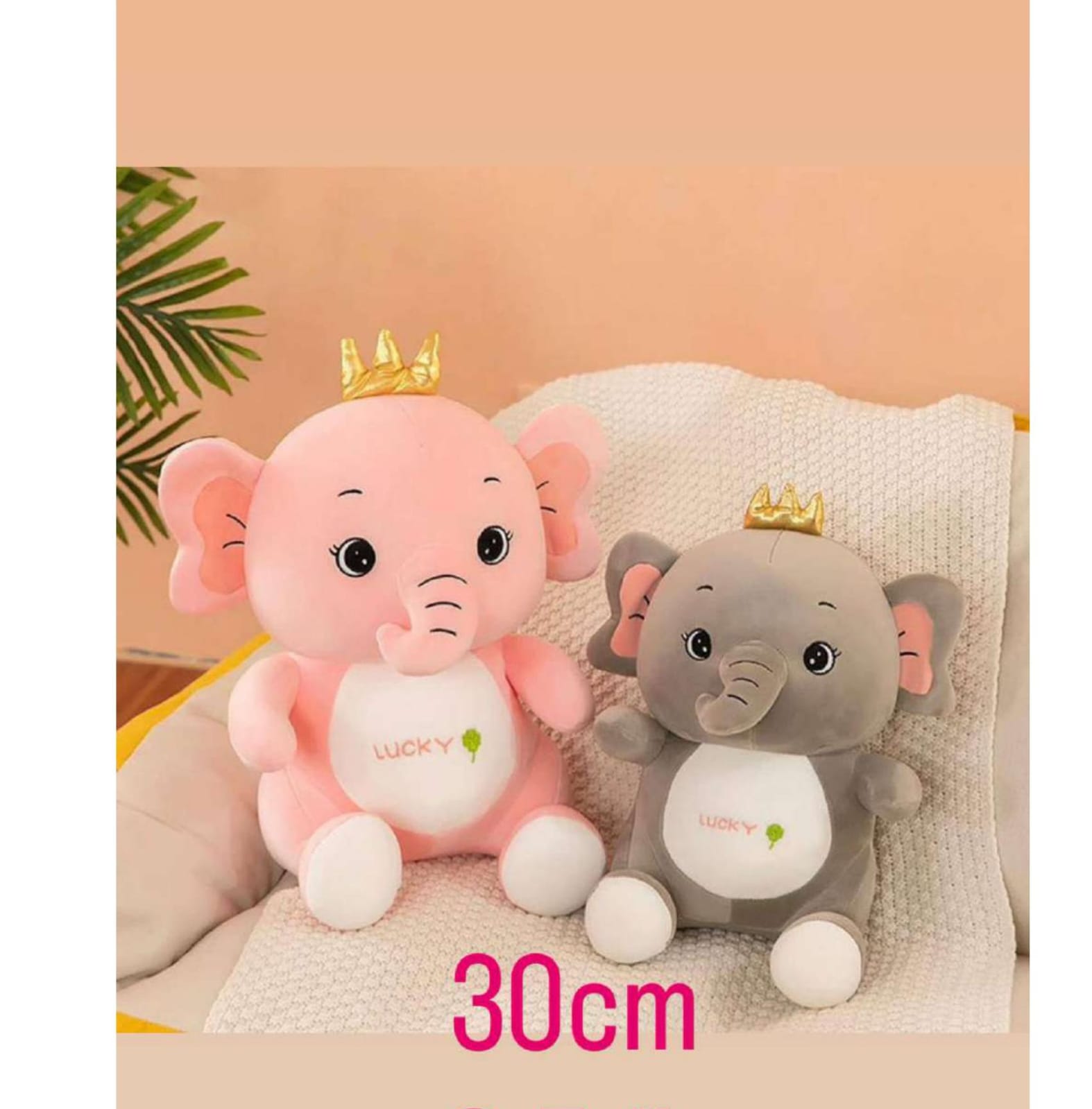 Cute Elephant Buddy