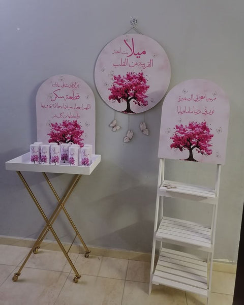 Elegant new born Baby setup