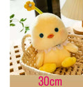 Little sunshine duck