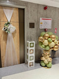 Luxury Entrance baby setup