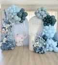 Mejestic baby boy entry