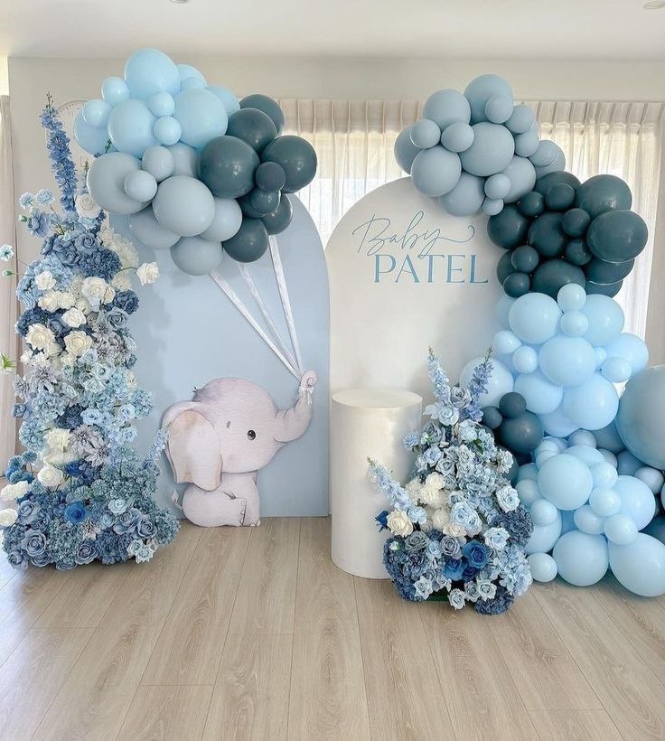 Mejestic baby boy entry
