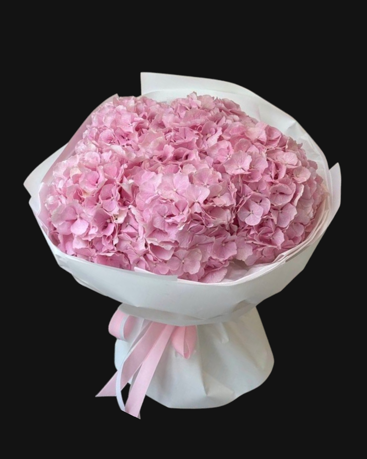 Pink Hydrangea Bliss