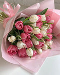 Pink & White Tulip