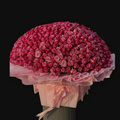 Queen of Roses