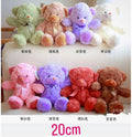 Soft Plush Bears
