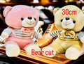 Super Soft Teddy Bears